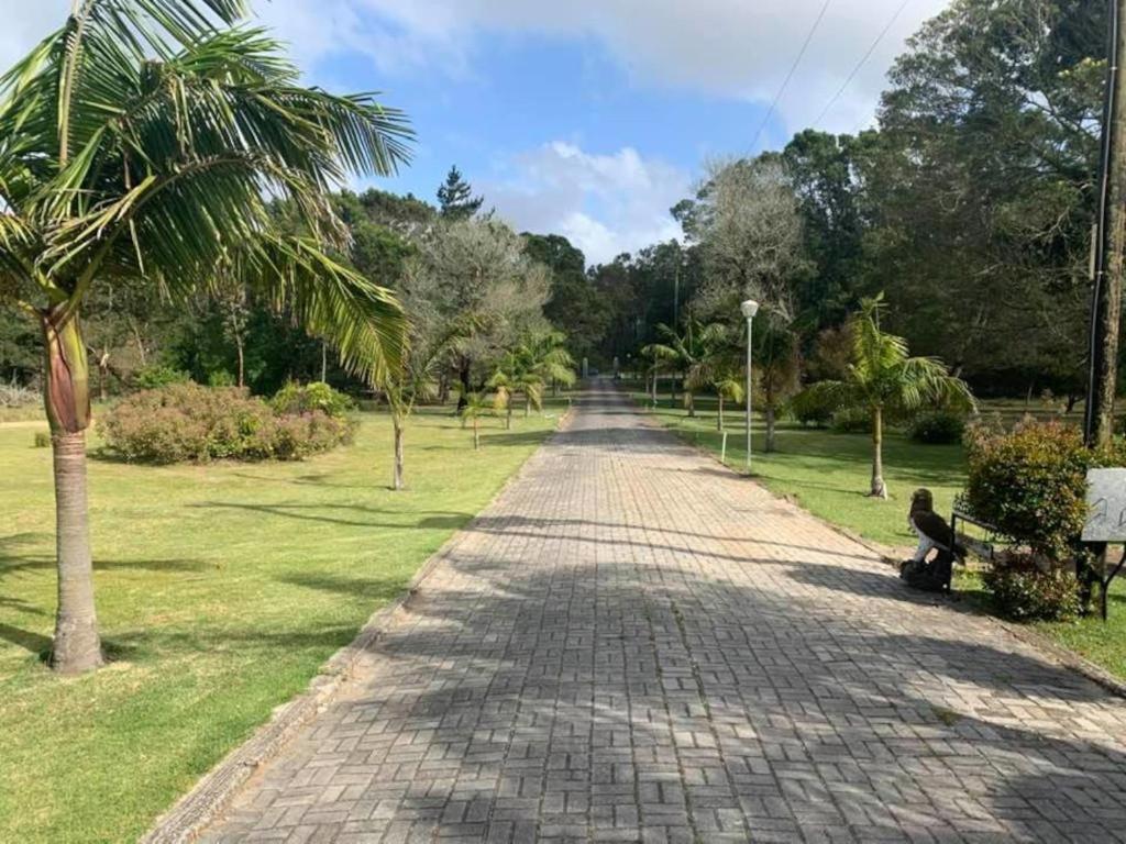 Palm Villa Port Elizabeth Buitenkant foto